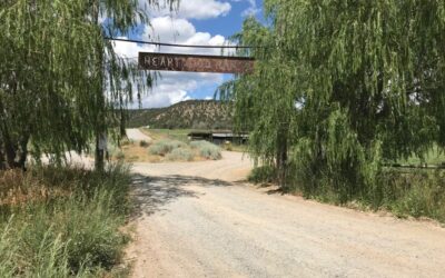 Building Community, Treading Lightly: The Promise of Cohousing