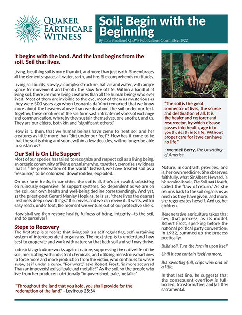 QEW-Soil-Begin-with-the-Beginning-TH